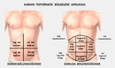 Karın Altı Ağrısı Acil Durum Sinyali